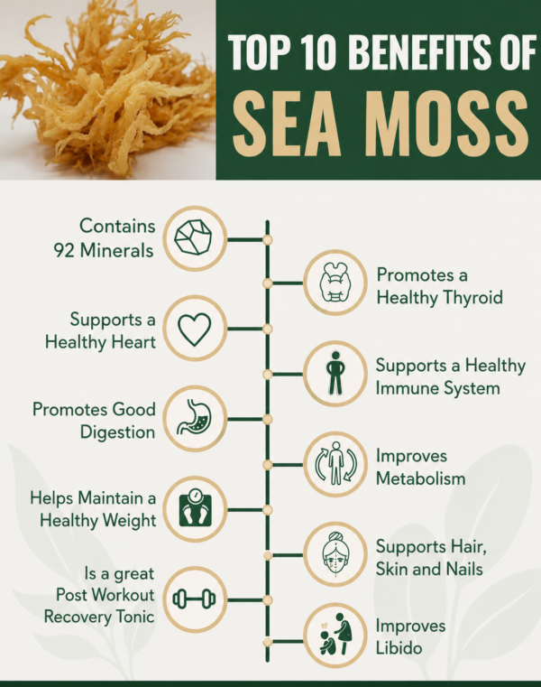 Sea Moss Gel - Image 2